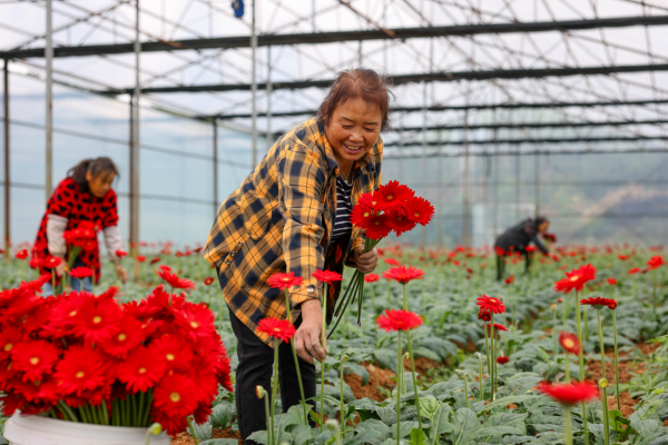 微信图片_2025-10-24_140047_388