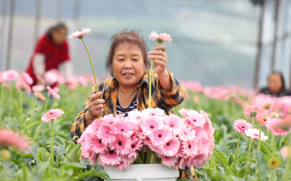 微信图片_2025-10-24_140055_197