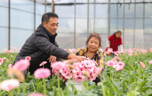 微信图片_2025-10-24_140117_381