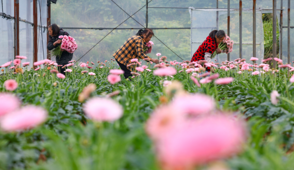 微信图片_2025-10-24_140125_457