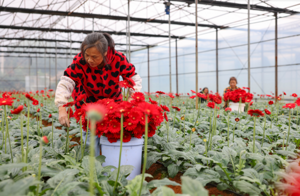 微信图片_2025-10-24_140152_813