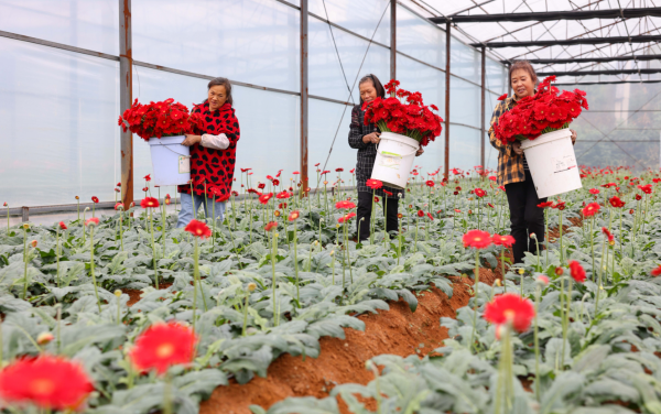 微信图片_2025-10-24_140209_138