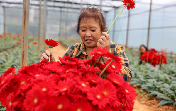 微信图片_2025-10-24_140200_796