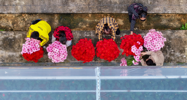 微信图片_2025-10-24_140217_467