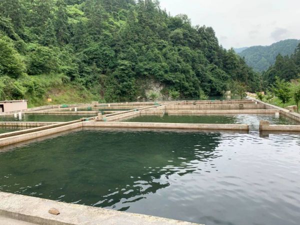 微信图片_2025-10-24_141126_645