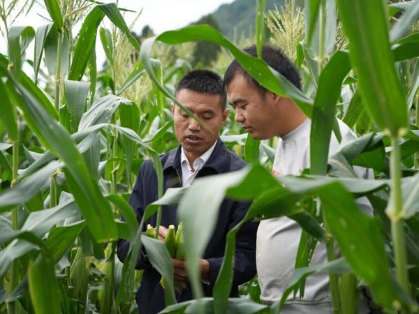 微信图片_2025-10-27_231844_272