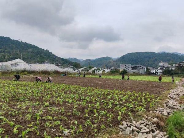 微信图片_2025-10-27_232208_672