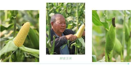 微信图片_2025-10-29_131003_079