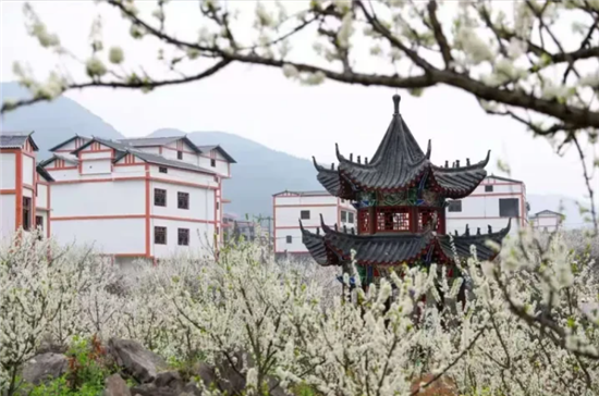 让乡风文明成为美丽乡村的“新标记”