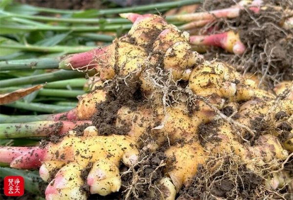 微信图片_2025-10-30_174847_825