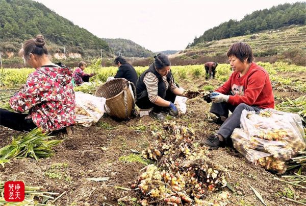 微信图片_2025-10-30_174856_286