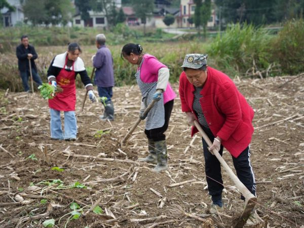 微信图片_2025-10-30_180338_071