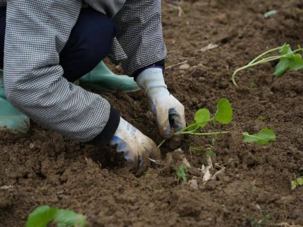 微信图片_2025-10-30_180352_396