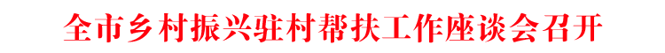 全市乡村振兴驻村帮扶工作座谈会召开