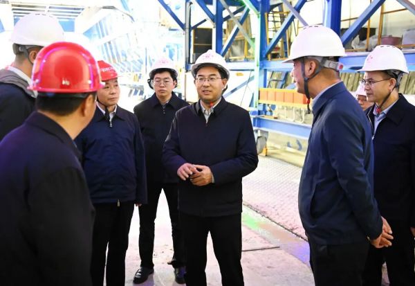 李作勋到碧江区铜仁高新区大龙开发区宣讲党的二十届四中全会精神并调研