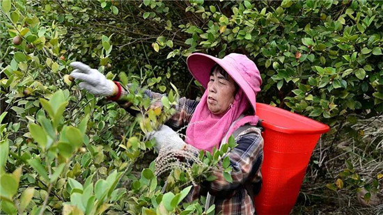 微信图片_2025-11-01_130634_629