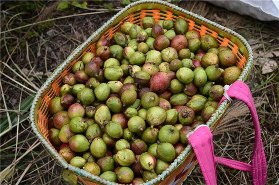 微信图片_2025-11-01_130637_928