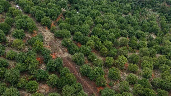 微信图片_2025-11-01_130641_174