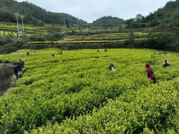 微信图片_2025-11-02_192117_235