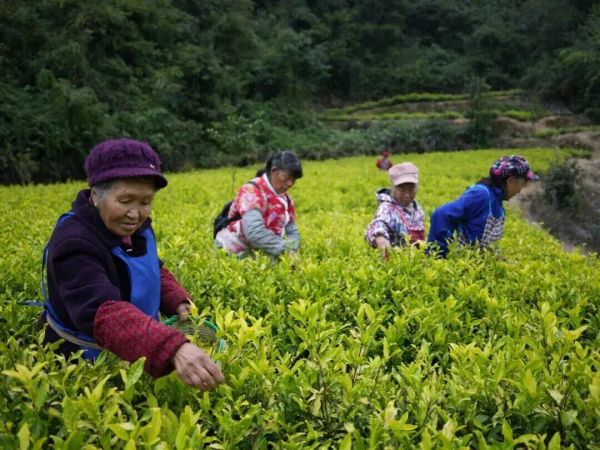 微信图片_2025-11-02_192124_018