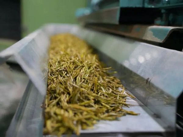 微信图片_2025-11-02_192137_226