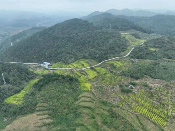 微信图片_2025-11-02_192145_377