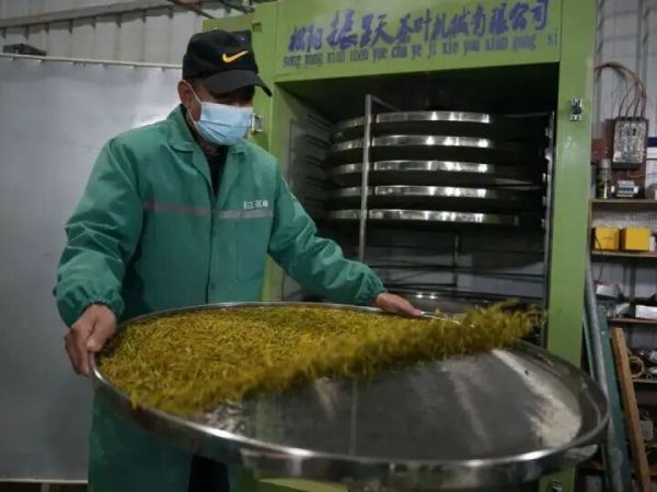 产值4.89亿元!铜仁这里的茶不简单