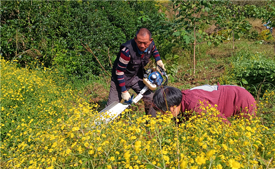 微信圖片_2025-11-04_125536_266