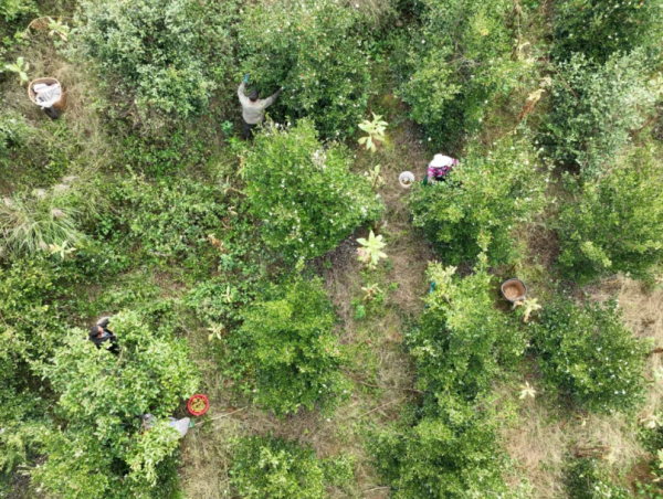 微信圖片_2025-11-05_152350_405