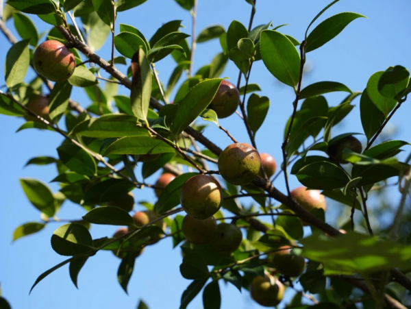 微信圖片_2025-11-05_152358_629