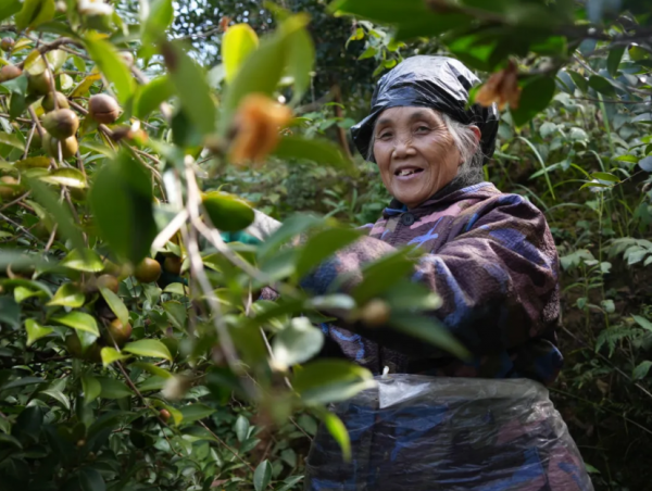 微信圖片_2025-11-05_152406_173