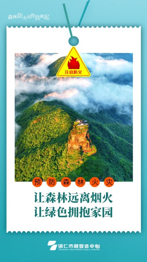 海报 | 让森林远离烟火  让绿色拥抱家园