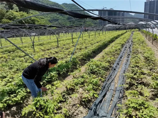 微信圖片_20251107122345_1249_2