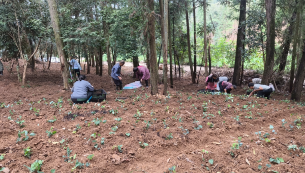 微信图片_2025-11-08_190944_768