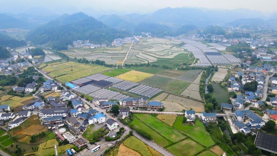 围坐陶艺小馆 共话乡村发展｜中央宣讲团走进花茂村宣讲党的二十届四中全会精神