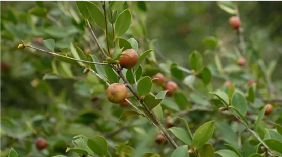 微信圖片_20251110120120_1275_2