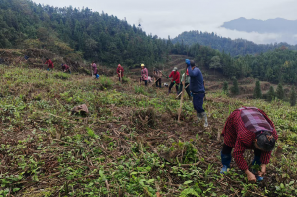 微信图片_2025-11-11_170829_985