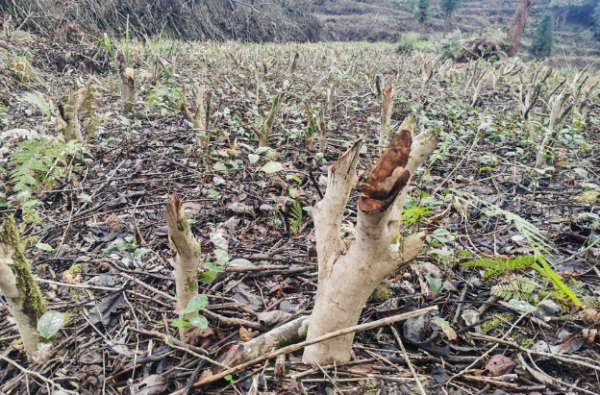 微信图片_2025-11-11_170914_562