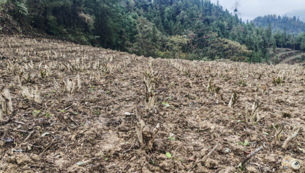 微信图片_2025-11-11_170924_084