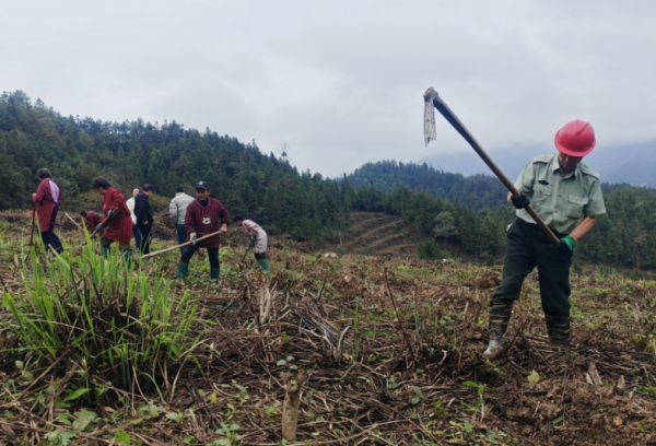 党建+民生!江口万民村的“双向奔赴”绘就振兴新图景