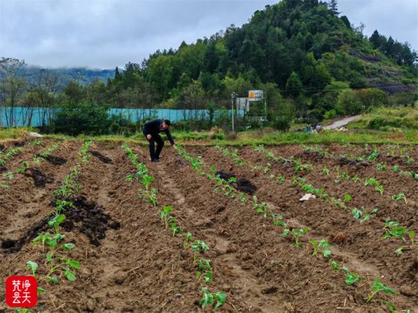 微信圖片_2025-11-12_002247_842