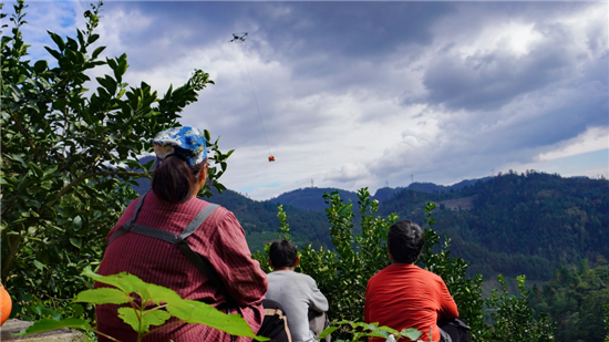 超200万斤!碧江“福柚”俏销省外