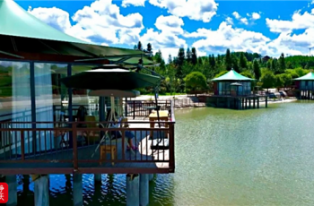 松桃棉花山村：茶旅融合繪新卷 和美鄉村綻芳華