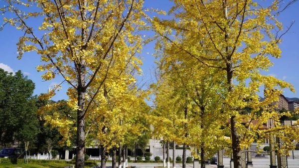 微信图片_2025-11-14_194628_483