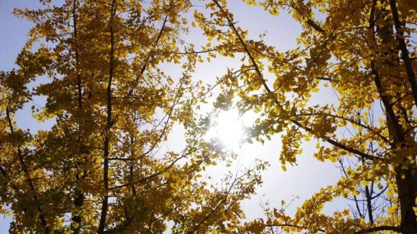 微信图片_2025-11-14_194725_668