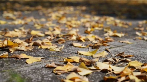 微信图片_2025-11-14_194710_179