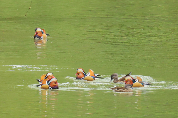 微信图片_2025-11-17_142528_715