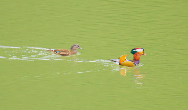 微信图片_2025-11-17_142536_675