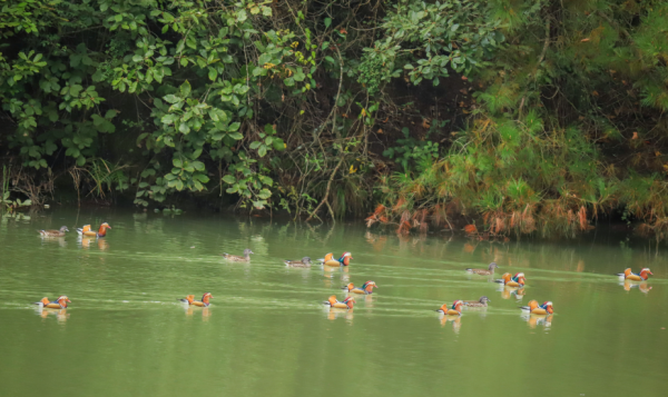 微信图片_2025-11-17_142547_312