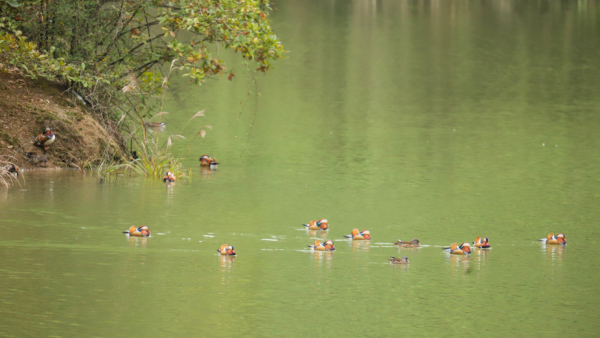 微信图片_2025-11-17_142603_916